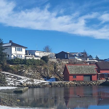 Cute Apartment By The Ocean Foldnes Eksteriør bilde